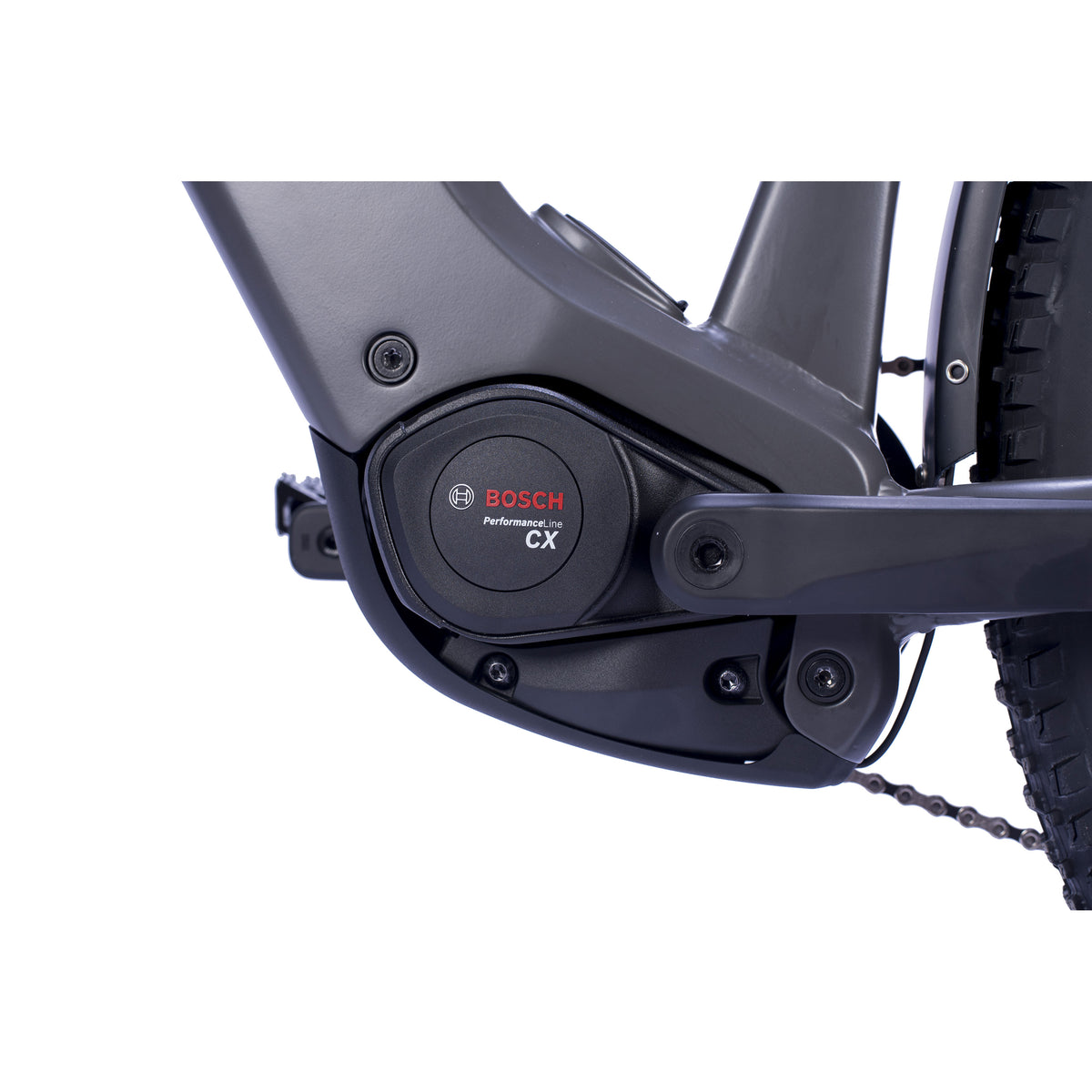 29" Herren E-SUV MTB STREAMER CX12 BOSCH PERFORMANCE LINE CX GEN 5 (Smart) POWERTUBE 800Wh 12 GANG SHIMANO XT RD-M8100