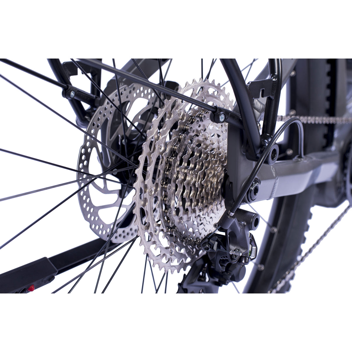 29" Herren E-SUV MTB STREAMER CX12 BOSCH PERFORMANCE LINE CX GEN 5 (Smart) POWERTUBE 800Wh 12 GANG SHIMANO XT RD-M8100