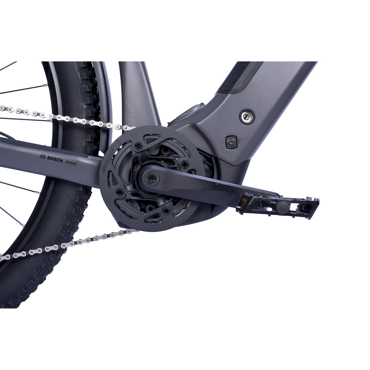29" Herren E-SUV MTB STREAMER CX12 BOSCH PERFORMANCE LINE CX GEN 5 (Smart) POWERTUBE 800Wh 12 GANG SHIMANO XT RD-M8100
